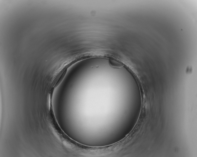 X0000089370013200706221230