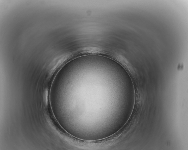 X0000089370014200706221230