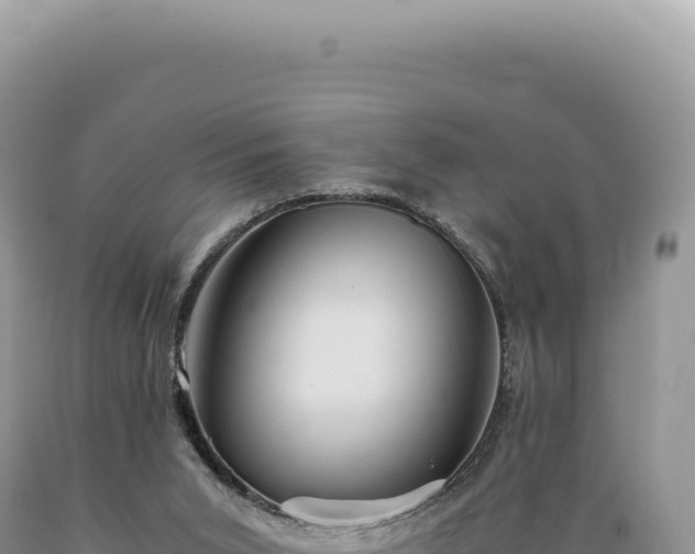 X0000089370015200706221230