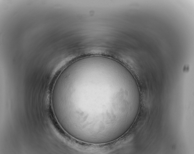 X0000089370016200706221230