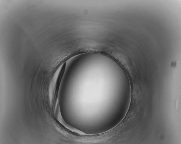 X0000089370017200706221230
