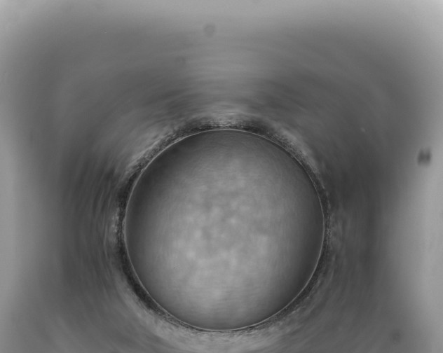 X0000089370018200706221230
