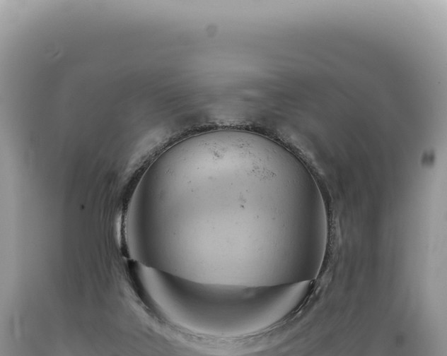X0000089370019200706221230