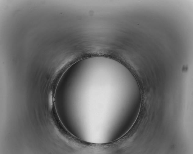 X0000089370020200706221230