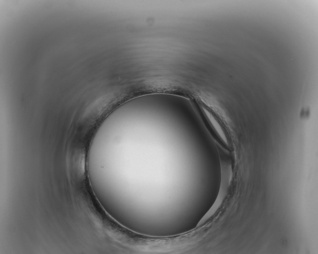 X0000089370021200706221230