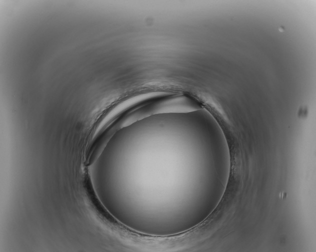 X0000089370023200706221230