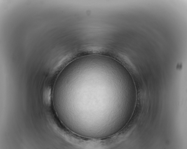 X0000089370024200706221230