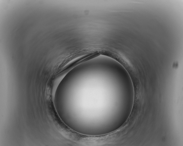 X0000089370025200706221230