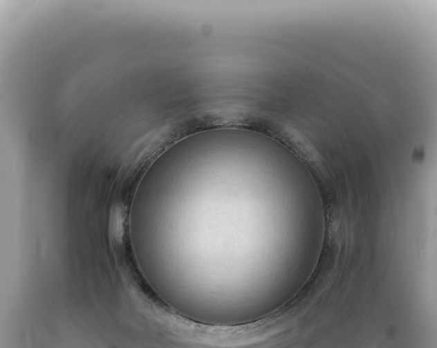 X0000089370026200706221230