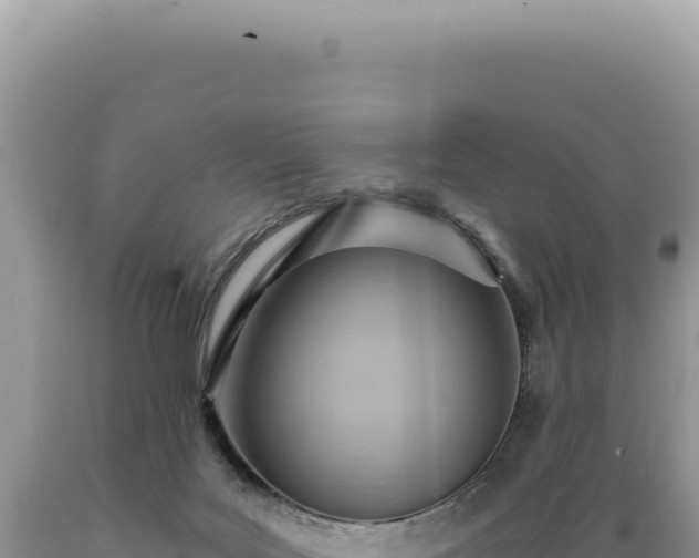X0000089370027200706221230