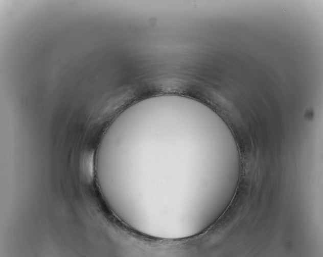 X0000089370028200706221230