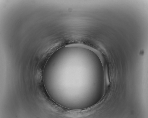 X0000089370029200706221230