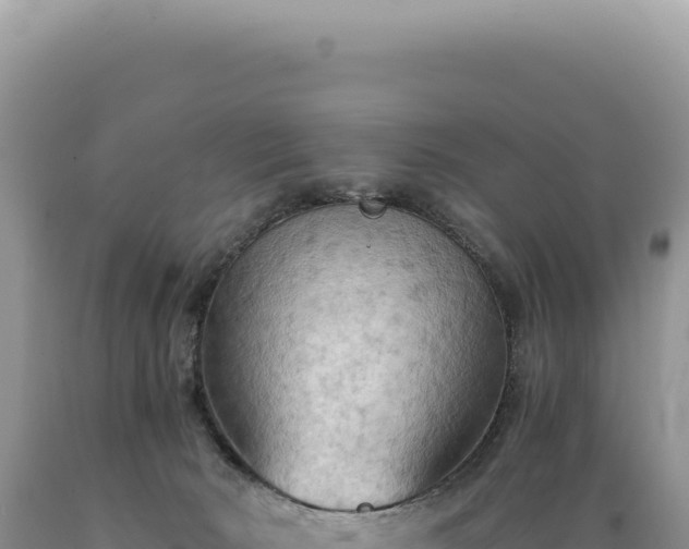 X0000089370030200706221230