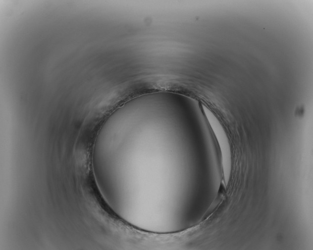 X0000089370031200706221230