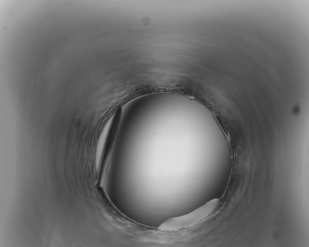X0000089370033200706221230