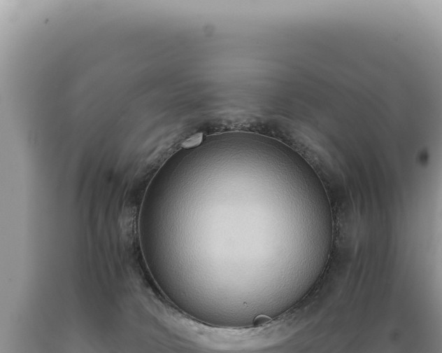 X0000089370034200706221230