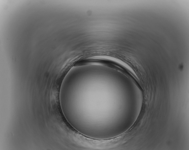 X0000089370035200706221230