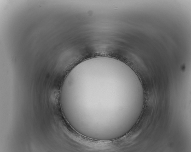 X0000089370036200706221230