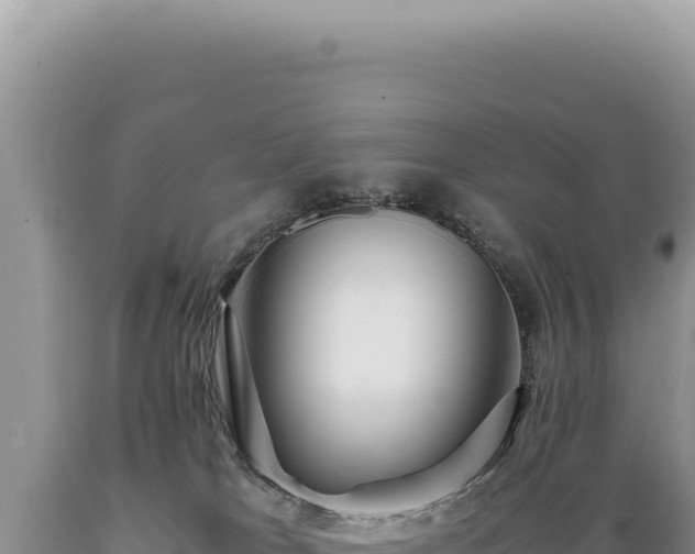 X0000089370037200706221230