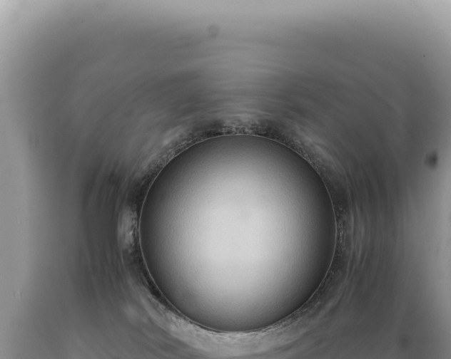 X0000089370038200706221230