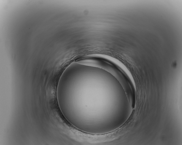 X0000089370039200706221230