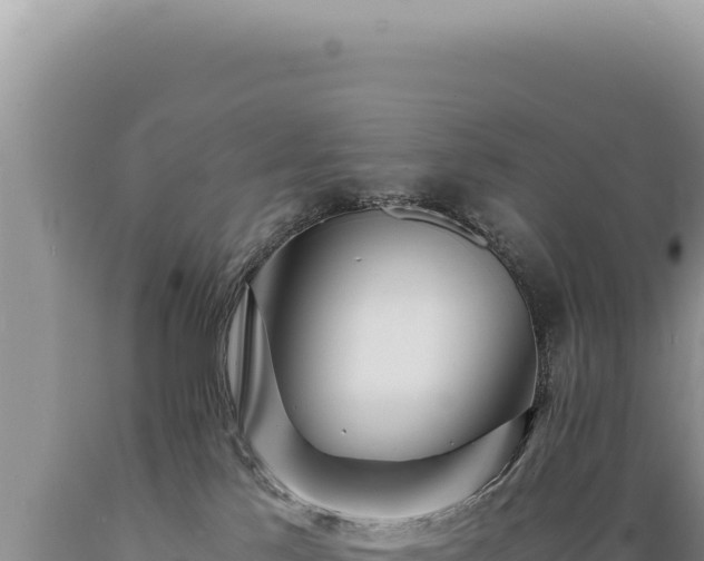 X0000089370041200706221230