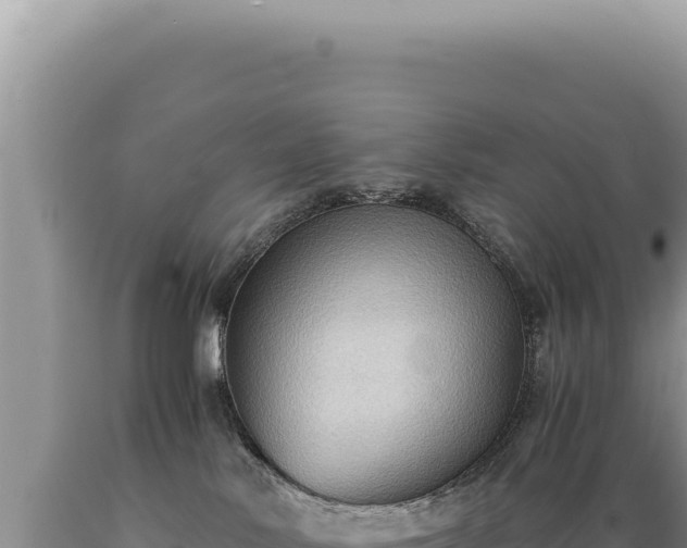 X0000089370042200706221230