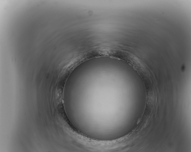 X0000089370043200706221230