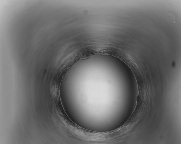 X0000089370044200706221230