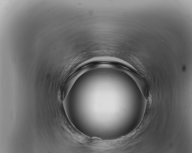X0000089370045200706221230