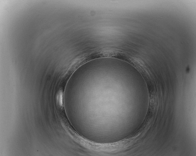 X0000089370046200706221230