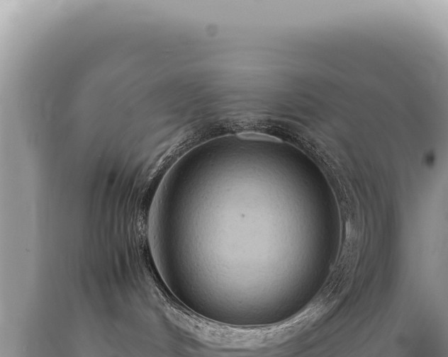 X0000089370048200706221230