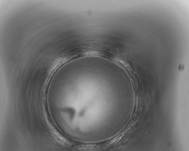X0000089370049200706221229