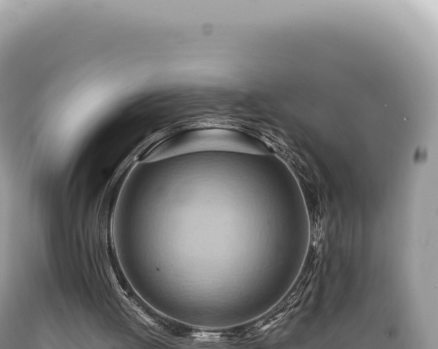 X0000089370052200706221229