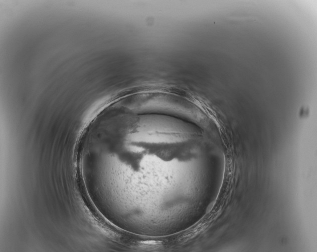 X0000089370053200706221229
