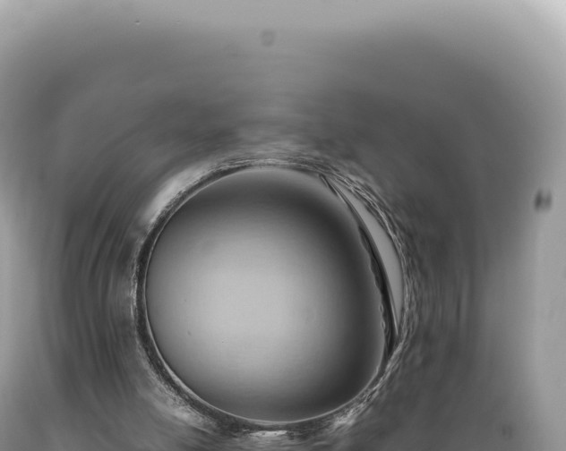 X0000089370054200706221229