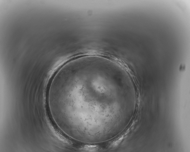 X0000089370055200706221229