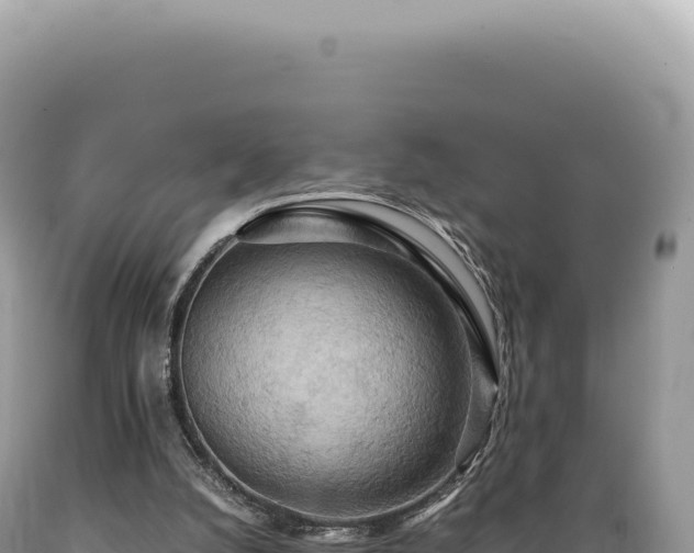 X0000089370056200706221230