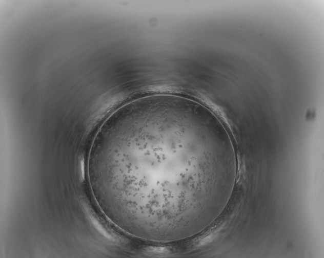 X0000089370061200706221230