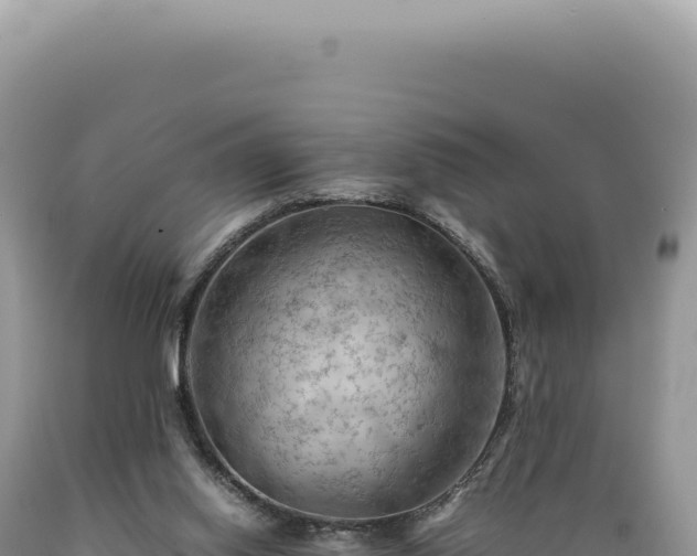 X0000089370062200706221230