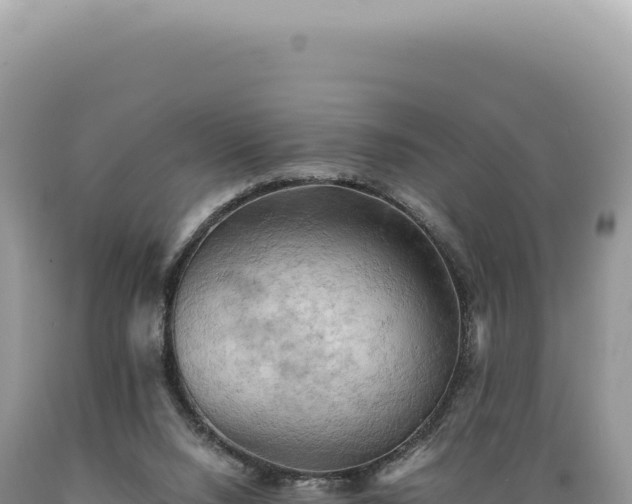 X0000089370064200706221230