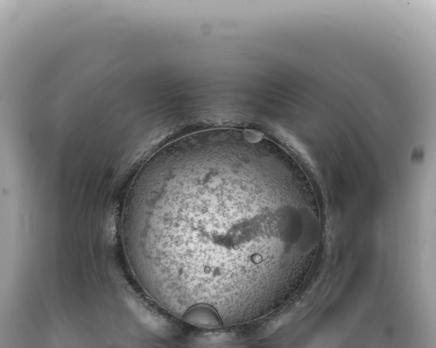 X0000089370065200706221230
