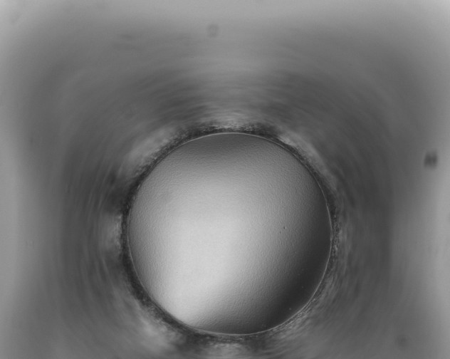 X0000089370066200706221230