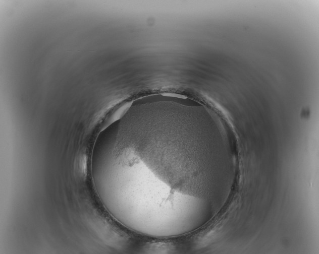 X0000089370067200706221230