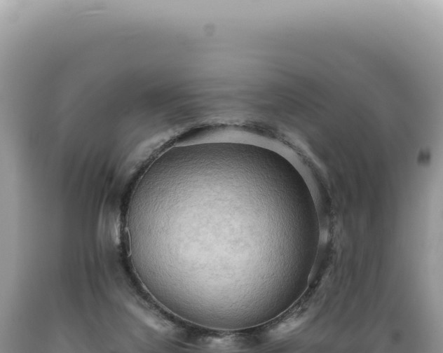 X0000089370068200706221230
