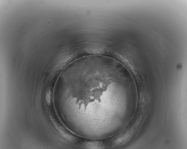 X0000089370069200706221230
