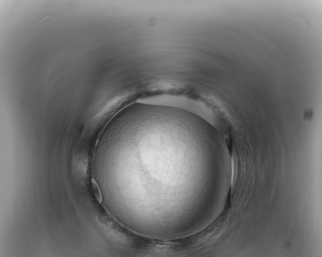X0000089370072200706221230