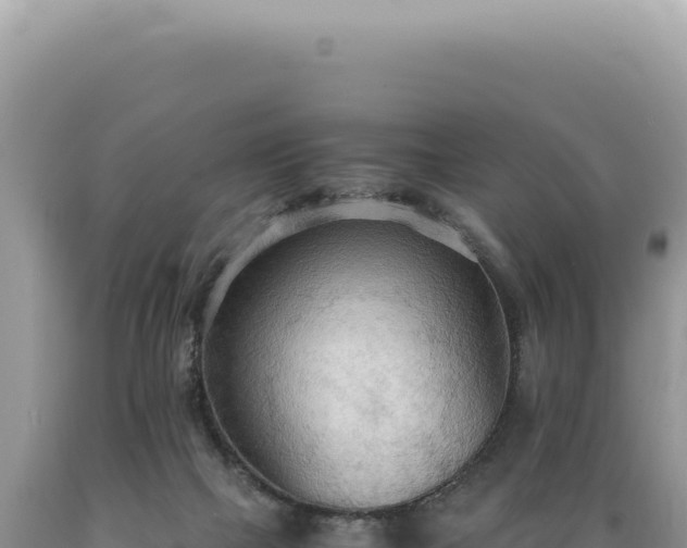 X0000089370073200706221230