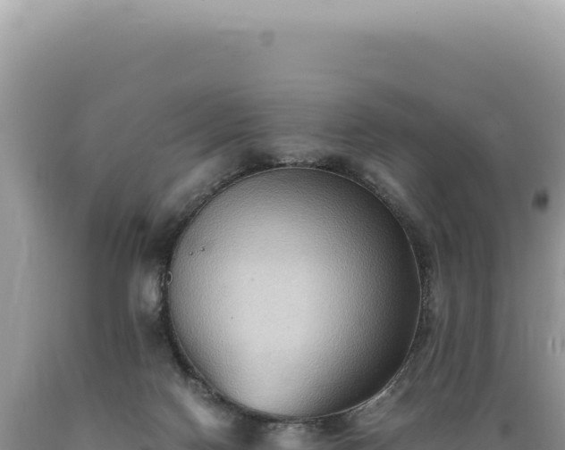 X0000089370074200706221230
