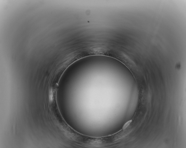 X0000089370075200706221230